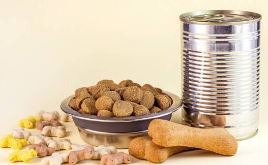 Jak dobrać mokrą karmę dla kota z alergiami pokarmowymi?