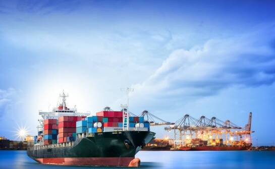 Jak fitosanitarne zabezpieczenia wpływają na eksport towarów?