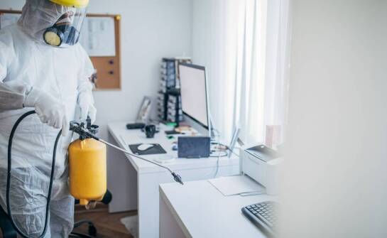 Wpływ innowacyjnych metod na skuteczność usuwania karaluchów