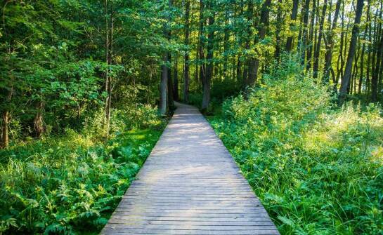 Jakie atrakcje czekają na miłośników natury podczas przyrodniczych spacerów?
