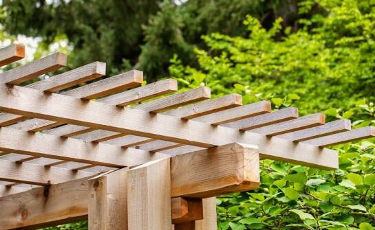 Jakie kształty przyjmują nowoczesne pergole ogrodowe drewniane?