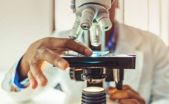 Objawy obciążenia organizmu pasożytami: kompleksowe podejście do diagnozowania