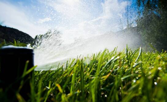 Jak automatyczne nawadnianie wspiera maszynowy siew trawników?