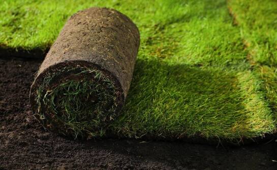 Wpływ jakości darni z gruntu na trwałość trawnika