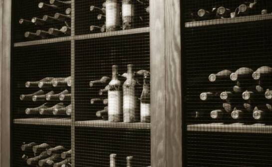 Jakie są korzyści z posiadania wentylowanej ogrodowej piwniczki?