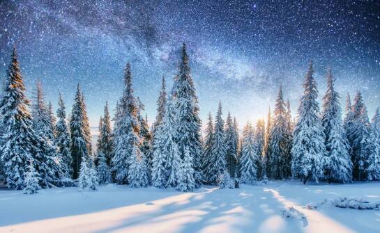 Zimowiska a rozwój emocjonalny – jak wpływają na młodzież?