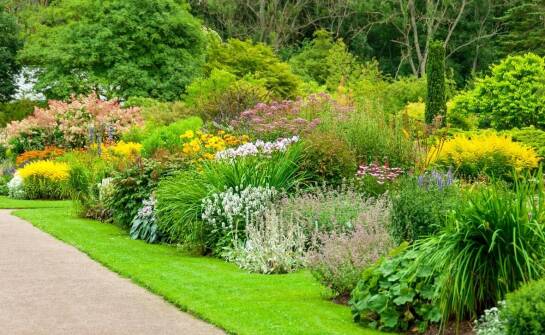 Jakie rośliny wybrać do ogrodów w Warszawie, aby były odporne na miejskie warunki?