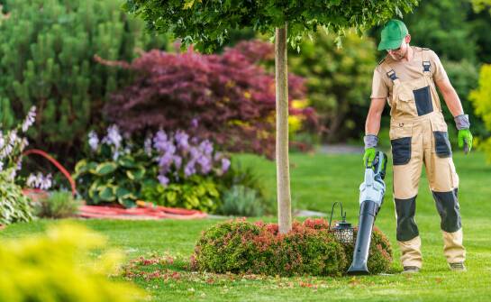 Efektywność pracy w ogrodzie dzięki nowoczesnym dmuchawom