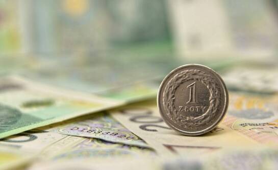 Najbardziej poszukiwane przez kolekcjonerów polskie monety