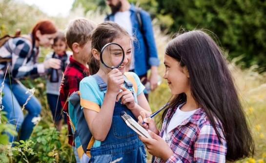 Jakie techniki nauczania stosować na warsztatach ekologicznych dla młodzieży?