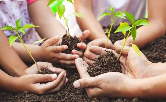 Jak dostosować ofertę warsztatów do potrzeb dzieci?