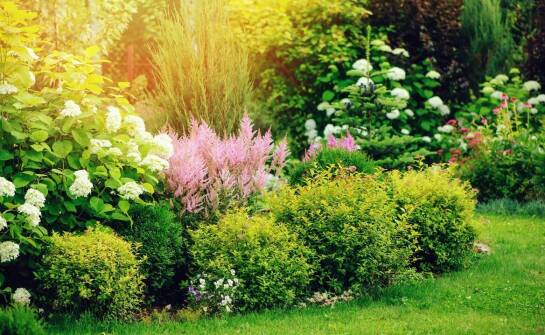 Jak regularna pielęgnacja wpływa na estetykę i funkcjonalność ogrodu?