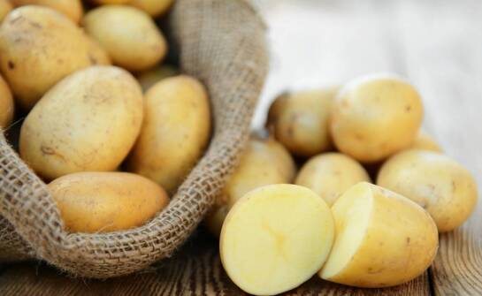 Obrane ziemniaki – jak wpływają na szybkość realizacji zamówień?