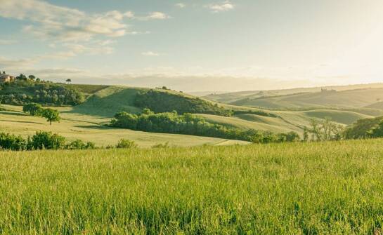 Zakup rolnej działki w Chorwacji: Perspektywy i korzyści inwestycyjne
