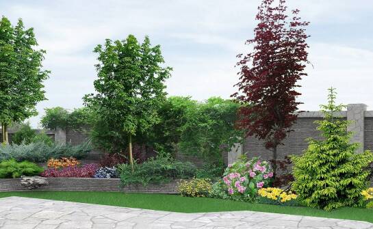 Wpływ porzeczki na pniu na estetykę nowoczesnych ogrodów