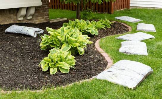 Zalety stosowania kompostu w workach do poprawy jakości gleby