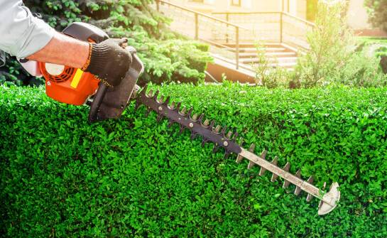 Jak dostosować nożyce do żywopłotu do indywidualnych potrzeb użytkownika?