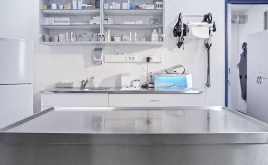 Jak weterynaryjny stół chirurgiczny wspiera procesy diagnostyczne?