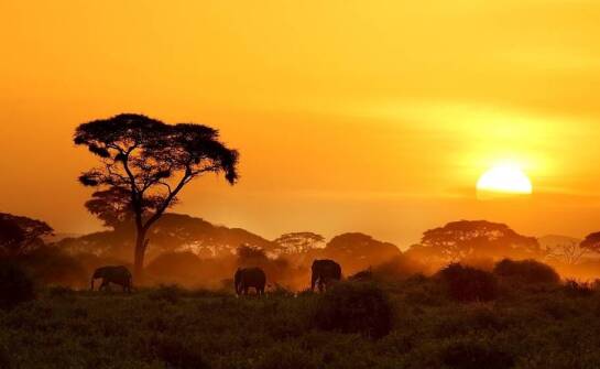 Wyjątkowe miejsca w Afryce: Wyjazdy dla miłośników podróży egzotycznych
