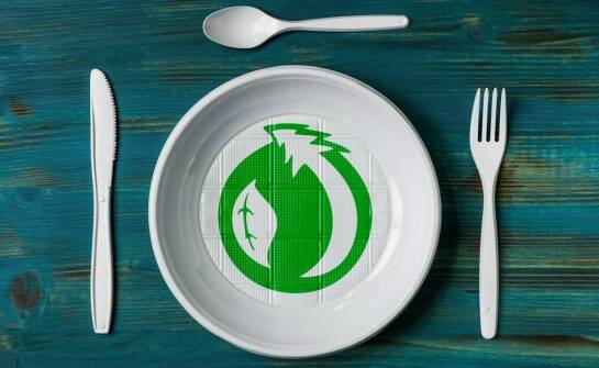 Jak producent papierowych talerzy wpływa na zrównoważony rozwój w branży gastronomicznej?