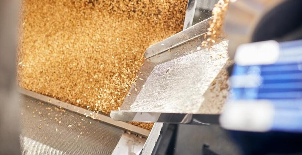 Czyszczalnie do zbóż: jakie korzyści przynoszą dla rolników?