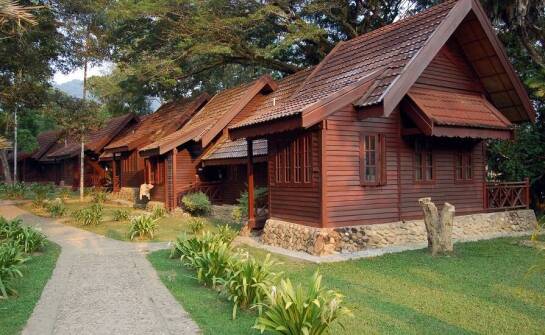 Letniskowe domki w Bieszczadach – miejsce stworzone dla miłośników pieszych wycieczek