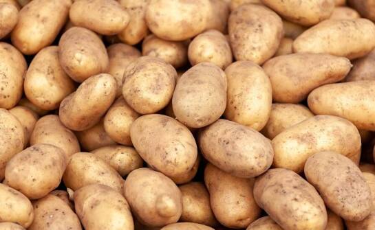 Przewaga hurtowych zakupów sadzeniaków ziemniaków w kontekście cen
