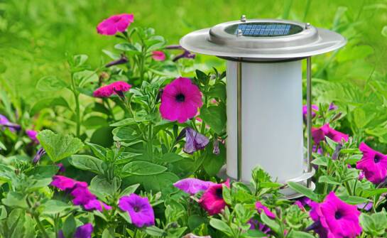 Porównanie różnych modeli solarnych lamp – który typ najlepiej pasuje do Twojego ogrodu?