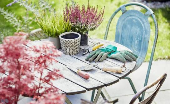Jak tanie ogrodowe akcesoria mogą wspierać ekologiczne uprawy?