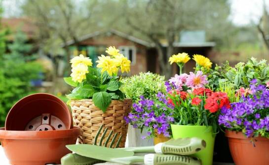 Znaczenie pozaszkolnej edukacji w rozwoju zainteresowań seniorów