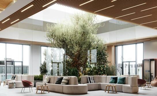 Naturalne dekoracje w pionowych ogrodach we wnętrzach biurowych