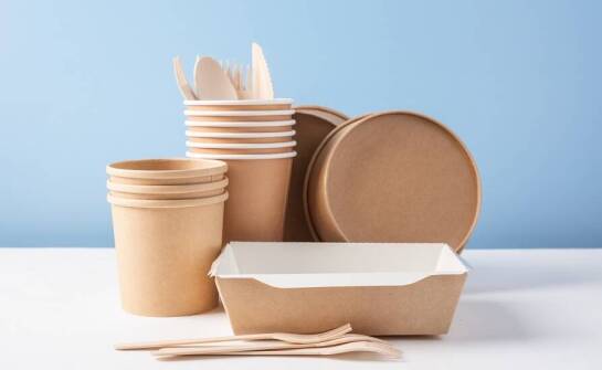 Jednorazowe naczynia z biodegradowalnych materiałów – czy warto?