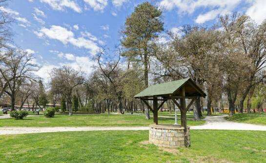 Jak dbać o czystość głębinowej studni i dlaczego to ważne?