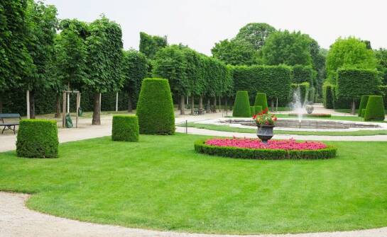 Jak nowoczesne odmiany drzew wpływają na estetykę publicznych przestrzeni?