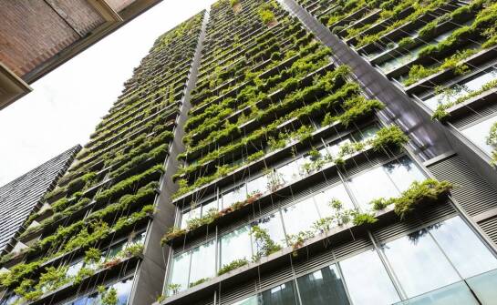 System ogrodów wertykalnych jako sposób na zwiększenie wartości nieruchomości