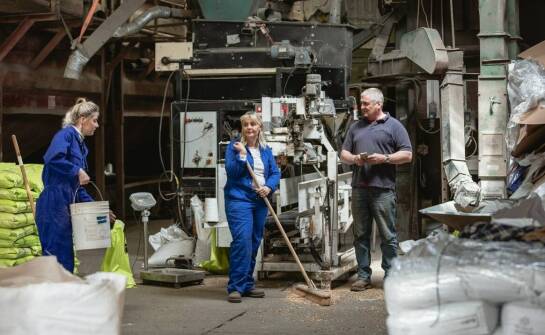 Jakie innowacyjne podejścia stosują producenci pasz w zakresie żywienia chlewnej trzody?