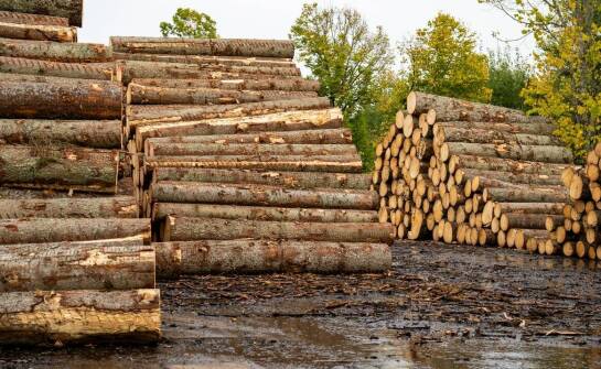 Kluczowe zalety wyboru silosów do trocin w przemyśle drzewnym