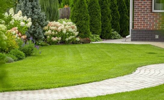 Jak zadbać o estetykę i funkcjonalność ścieżek z brukowej kostki?