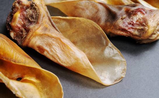 Rola producenta wieprzowych uszu w modernizacji przetwórstwa mięsnego