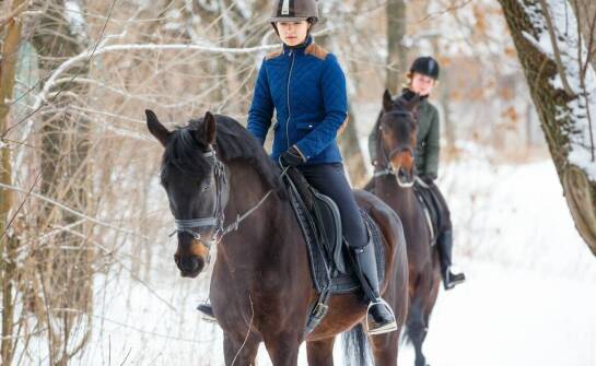 Jakie elementy jeździeckiej odzieży są najważniejsze w sezonie zimowym?