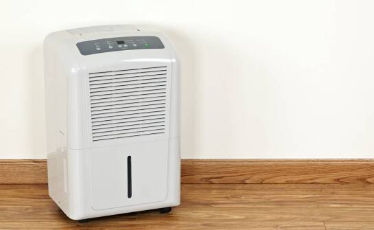 Kiedy warto rozważyć wynajem osuszacza powietrza po remoncie?