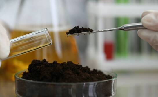 Jak kwasy fulwowe wpływają na metabolizm i trawienne procesy?