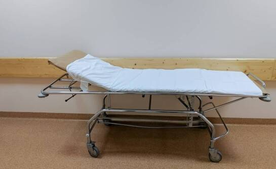 Jakie są najczęstsze błędy przy wyborze weterynaryjnych noszy i jak ich unikać?