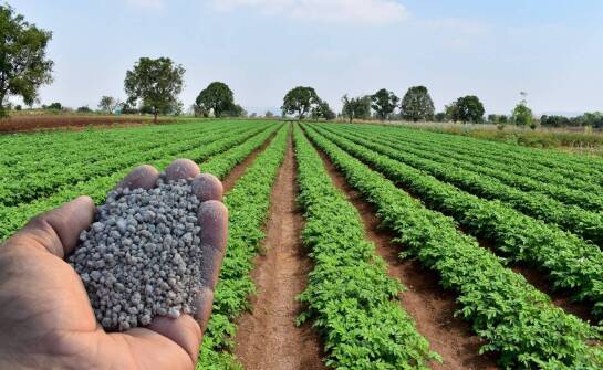Jak granulowane wapno kredowe wspiera zrównoważone praktyki rolnicze?