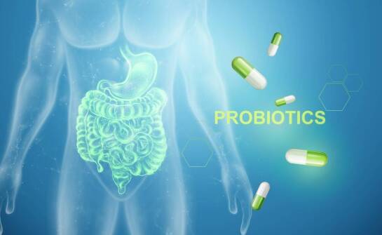 Jak probiotyki wpływają na przyswajanie odżywczych składników?