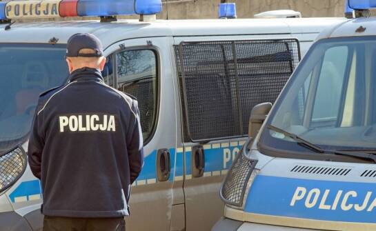 Kompleksowy proces celnej odprawy samochodów importowanych z USA