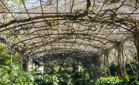 Dekoracyjna podpora do pnących kwiatów w ogrodzie zimowym