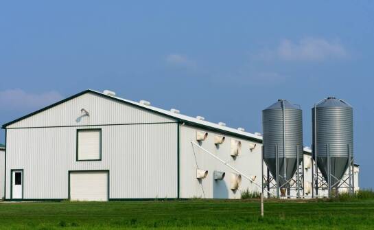 Nowoczesne rozwiązania w budowie hodowlanych obiektów a prawo budowlane