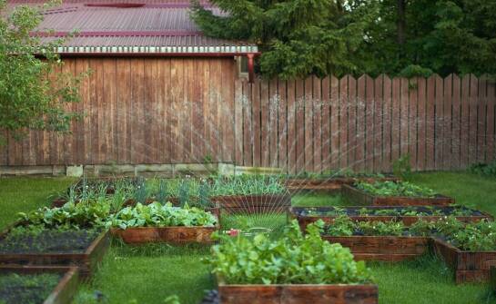 Czy lokalizacja ogrodu wpływa na wybór środka przeciw mrówkom?