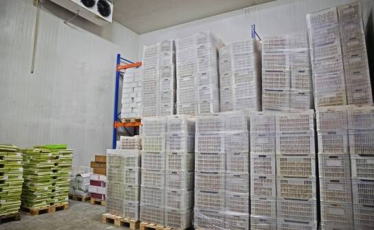 Odporność plastikowych kontenerów na skrajne temperatury w magazynach